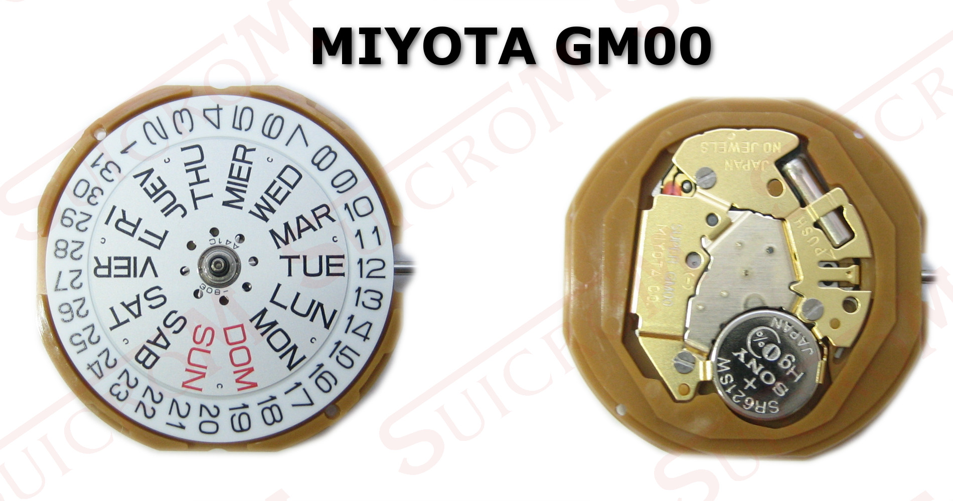 Movimiento Miyota Gm00